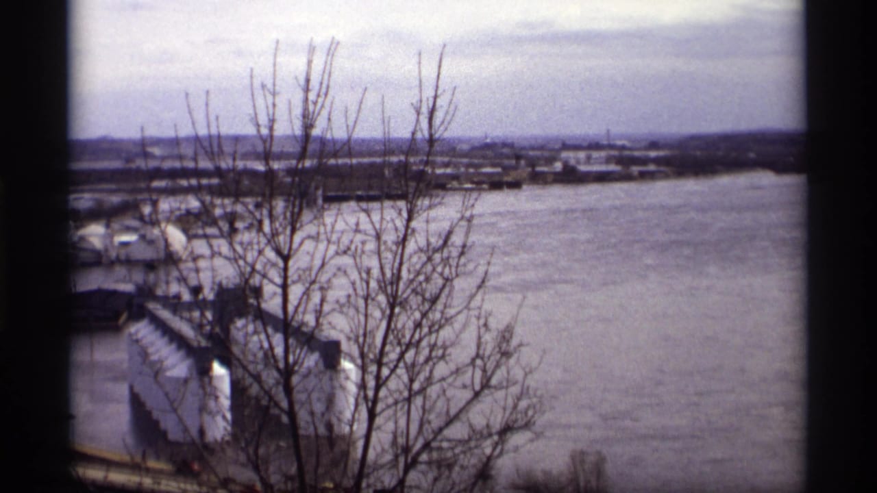 Wide flooded river with bare branches and low buildings along the bank.