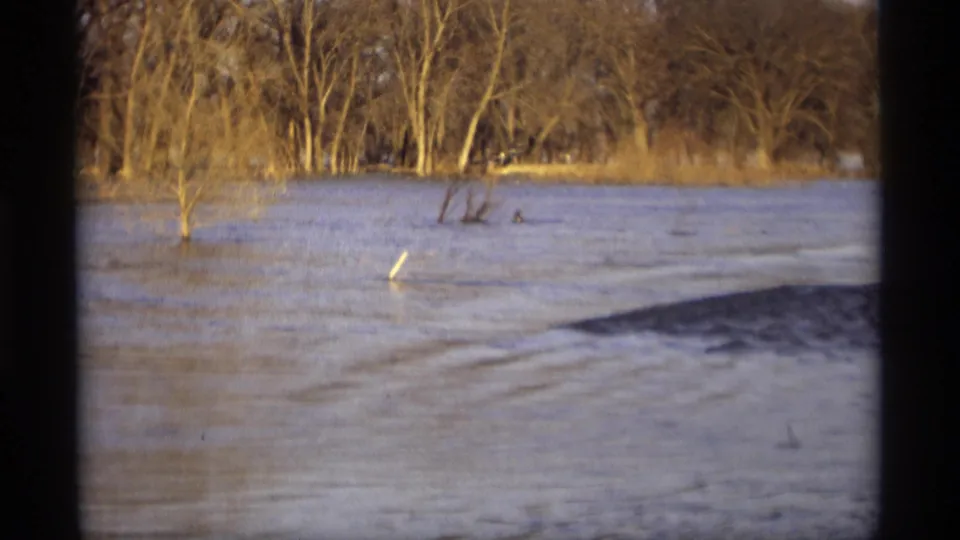 1969 Savage, Minnesota 8mm frame of high water surrounding small trees and brush near a wooded bank.