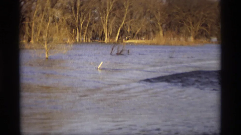 1969 Savage, Minnesota 8mm frame showing murky floodwater reaching into brush and small trees beside a wooded rural stream.