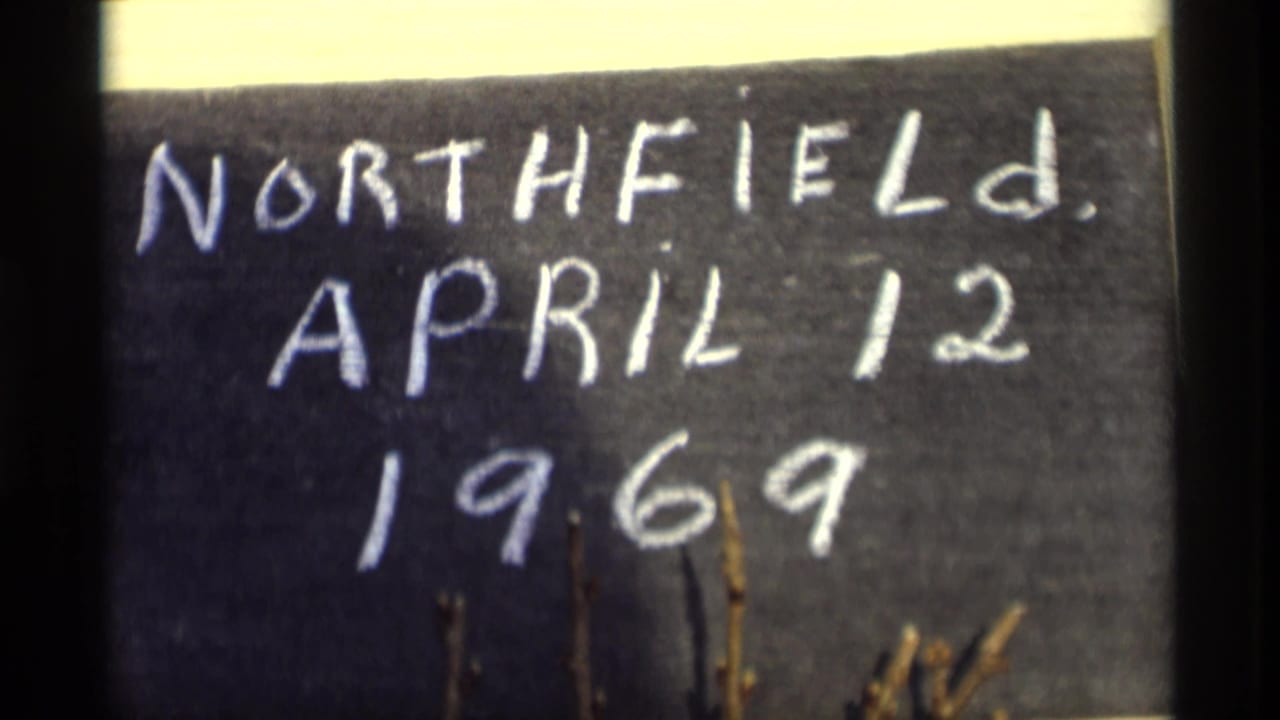 1969 8mm frame showing a close chalkboard title card reading Northfield, April 12, 1969, with visible film grain and branches at the bottom.
