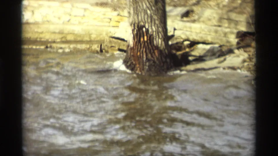 1969 Minnesota 8mm frame shifting to the riverbank, with moving water around a tree trunk, rocks, and a pale retaining wall or bridge structure.