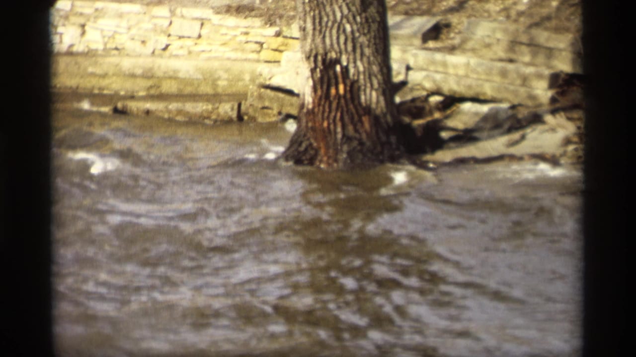 1969 8mm footage from Savage, Minnesota shows brown floodwater moving around a tree trunk near a low stone retaining wall.