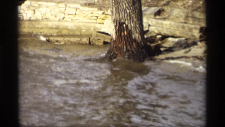 Flooded river water in Savage, Minnesota churns around a tree base, with a stone wall and bank debris visible behind it.