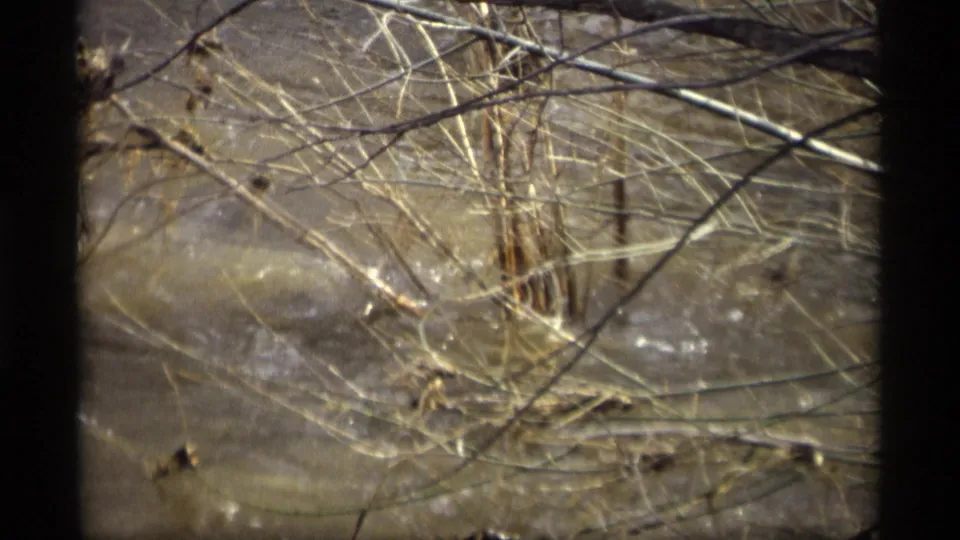 A closer 8mm view shows muddy floodwater and pale leafless branches tangled along the Savage, Minnesota riverbank.