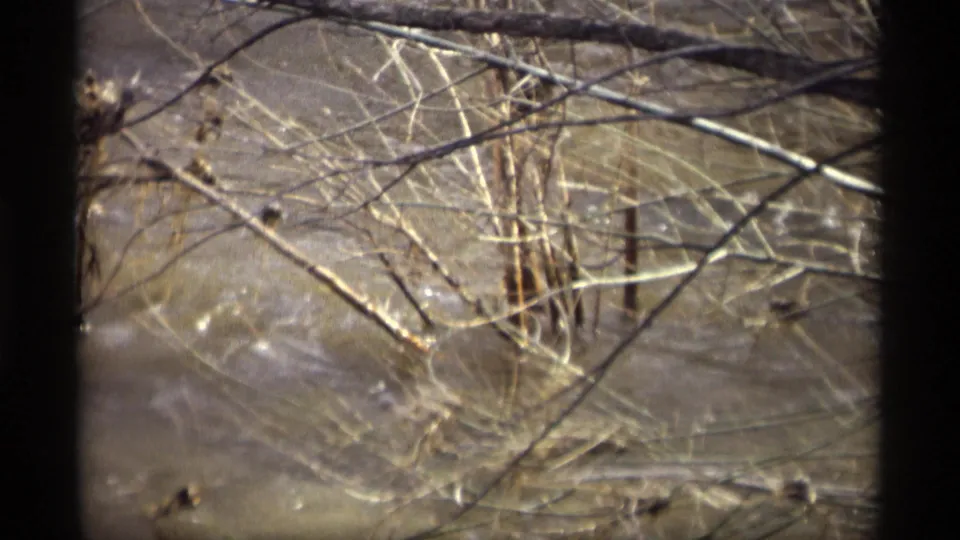 The final frame holds on tangled riverside branches over muddy floodwater, preserving the handheld 1969 home-movie view.