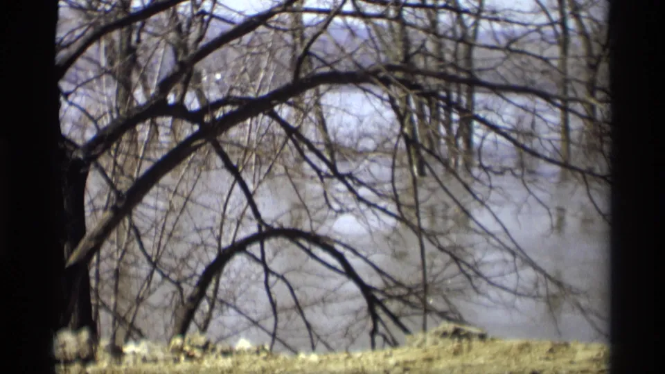 Savage, Minnesota 8mm frame showing bare branches over water, with a low grassy bank in the foreground.