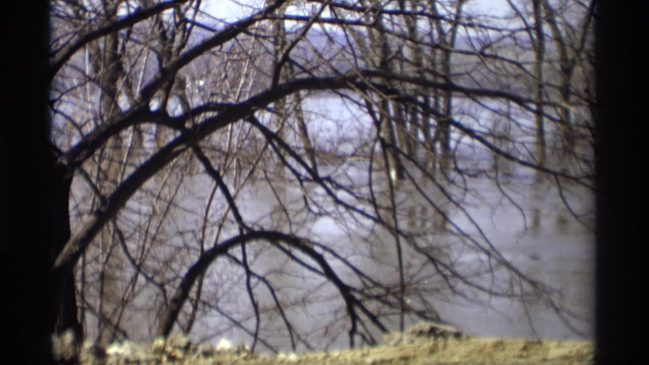 1969 Savage, Minnesota 8mm frame of bare winter branches and tree trunks looking toward foggy water or flooded ground.