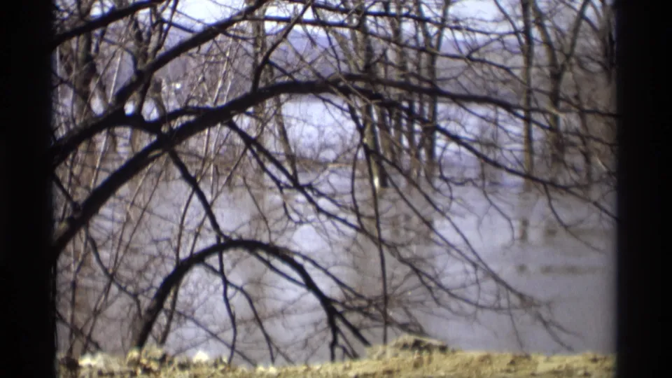 A 1969 Savage, Minnesota home-movie view of leafless branches over a hazy riverbank or flooded winter landscape.