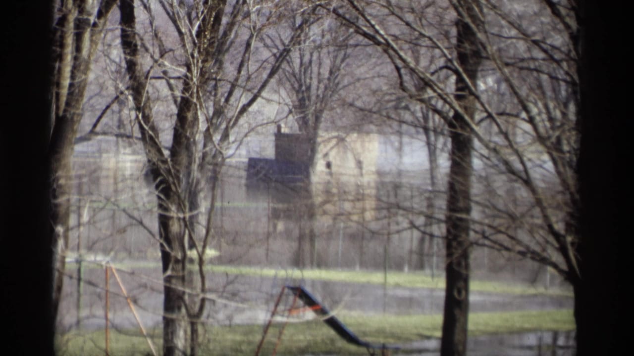 Floodwater around leafless trees with a distant building and playground equipment visible.