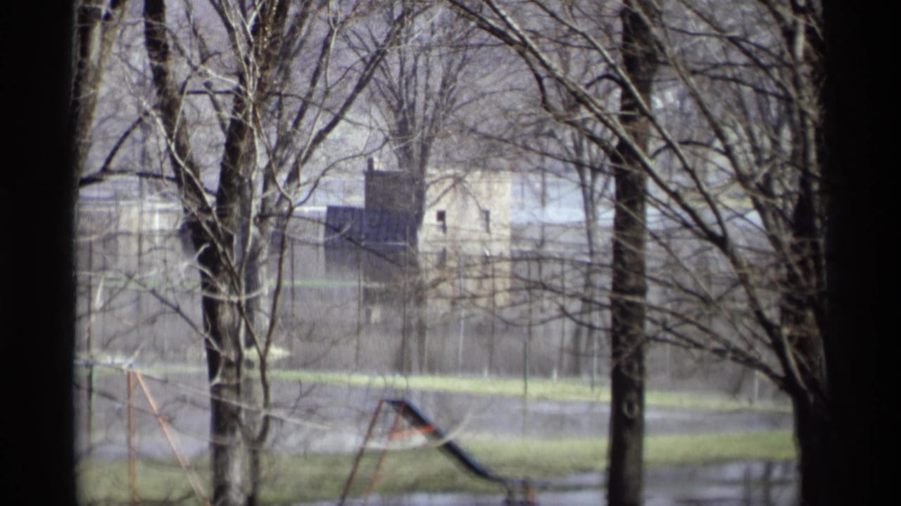 Bare trees stand in floodwater with playground equipment and a building beyond.