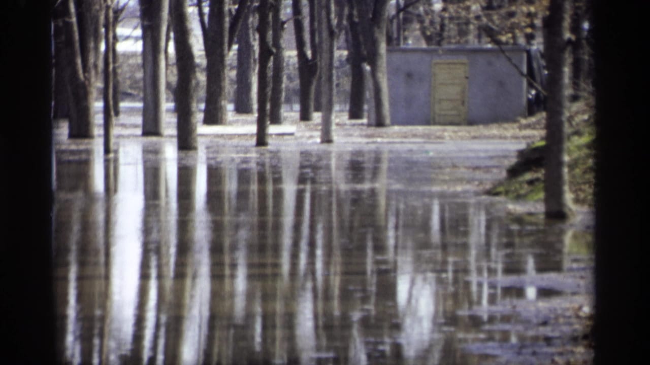 1969 Savage, Minnesota 8mm frame showing floodwater among bare trees with a small outbuilding beyond the flooded ground.