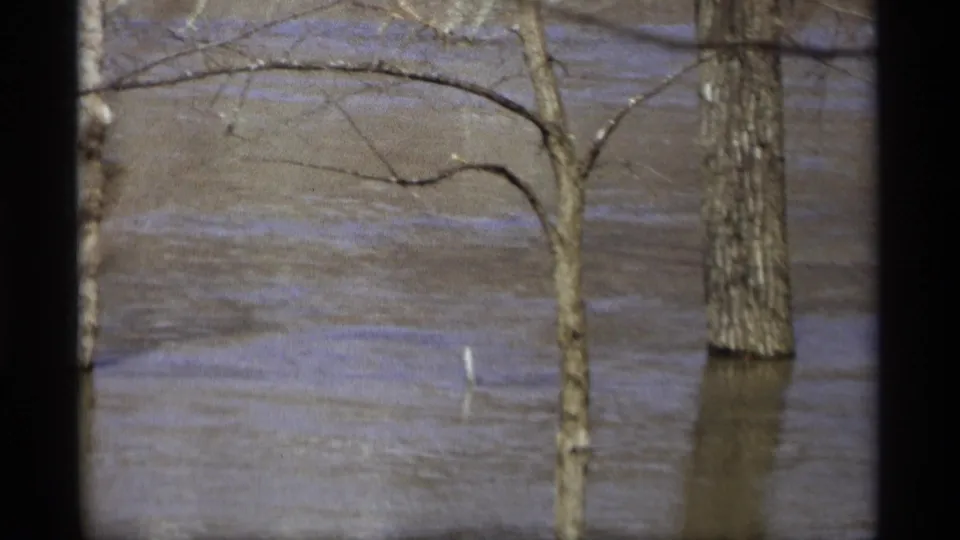 1969 Savage, Minnesota 8mm frame with murky floodwater rising around tree trunks and leafless branches.