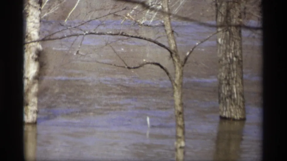 1969 Savage, Minnesota home-movie frame showing flooded tree trunks, bare limbs, and a small pale marker in the water.