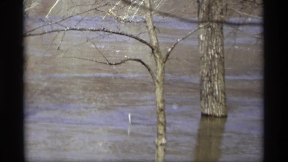 1969 Savage, Minnesota 8mm frame focused on rippled brown floodwater around tree trunks and low bare branches.