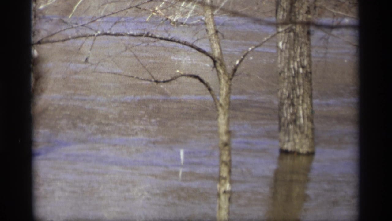 1969 8mm view from Savage, Minnesota, showing muddy floodwater around leafless roadside trees.
