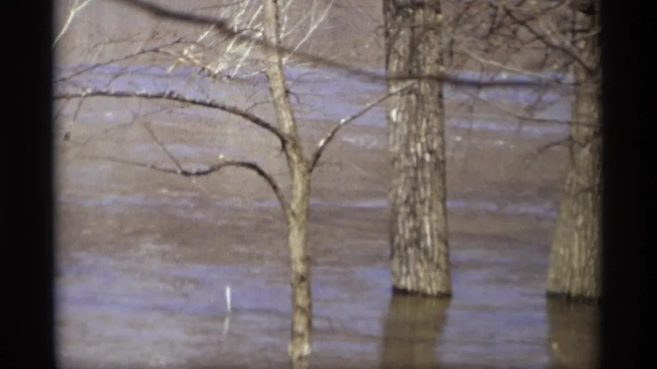 Flooded trees in Savage, Minnesota, seen on 1969 8mm film with soft grain and dark scan edges.