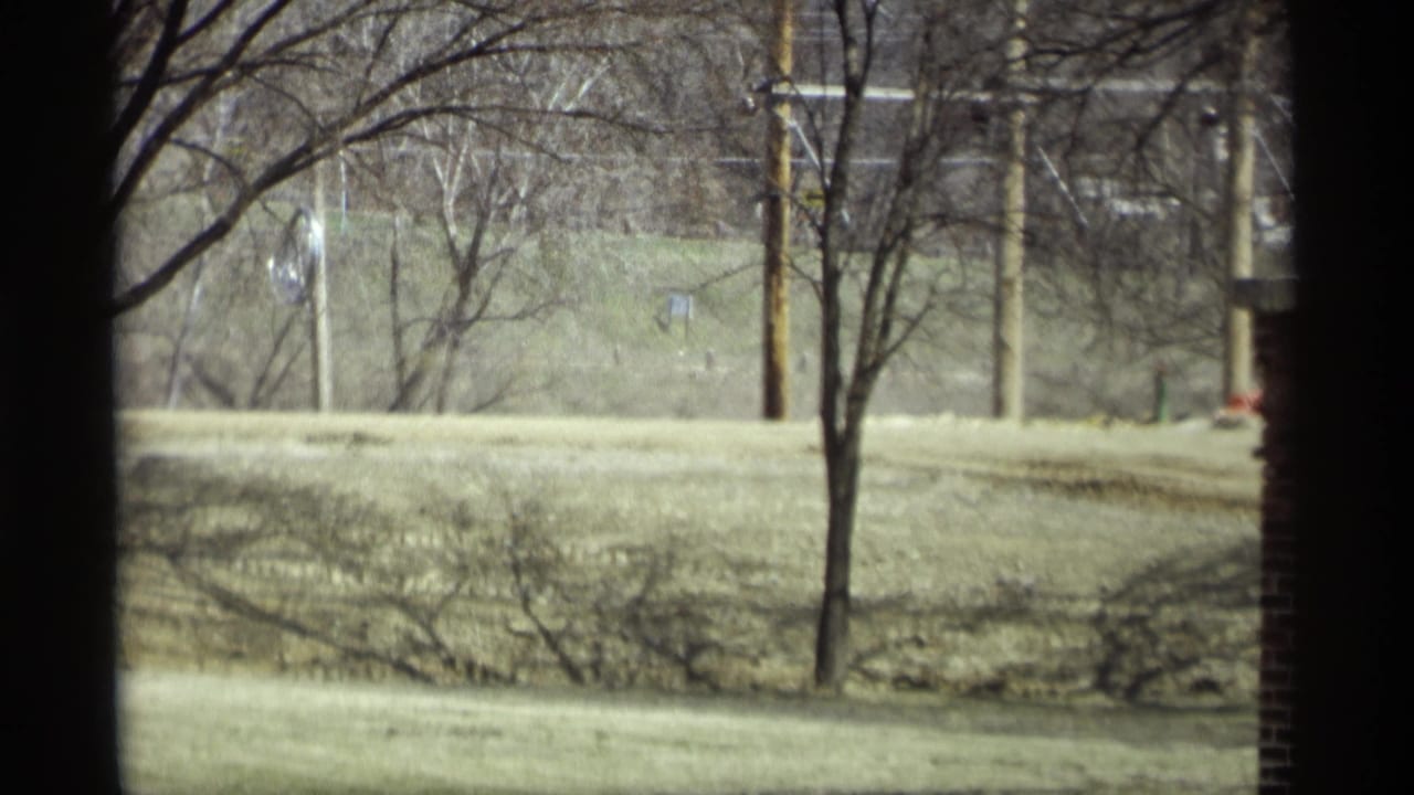 View through a dark window frame toward bare trees, grass, utility poles, and a brick edge at right.
