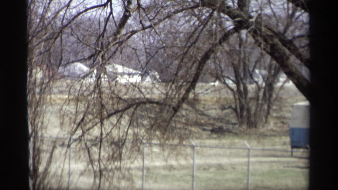 Bare trees and a chain-link fence seen through a dark window frame.