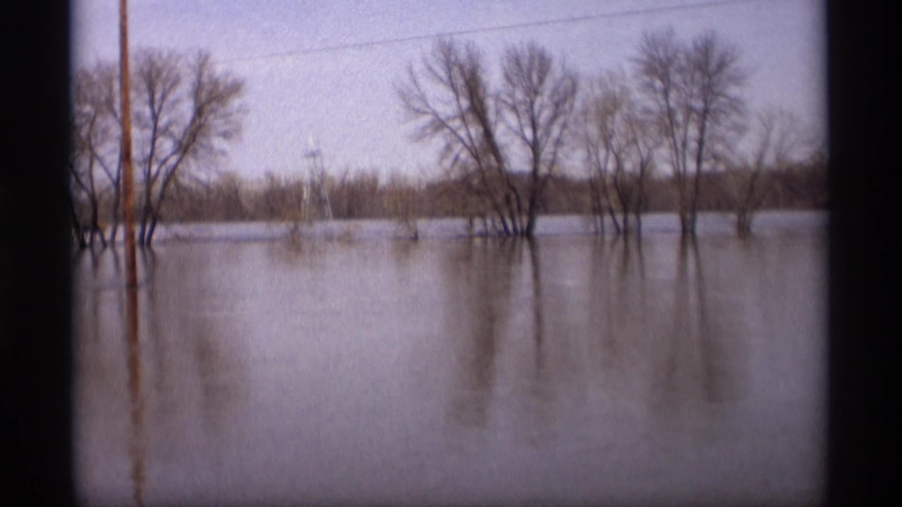 Leafless trees stand in floodwater with reflections across a flat rural landscape.