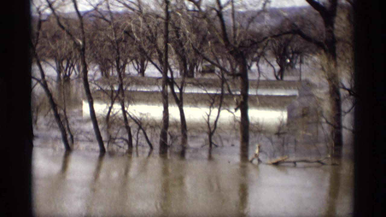 Floodwater surrounds leafless trees with a pale structure beyond the waterline.