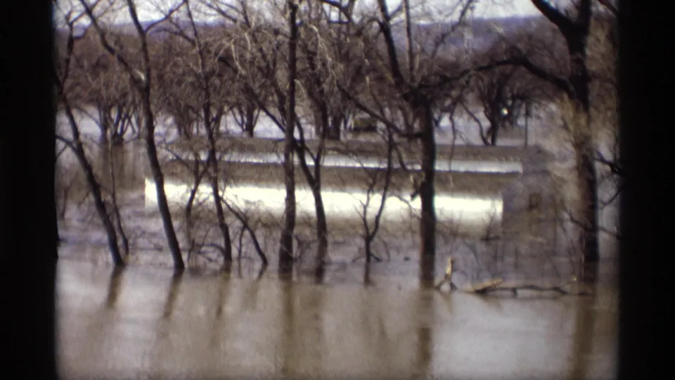 1969 Savage, Minnesota view of bare trees submerged in brown floodwater, with a partially obscured house or structure behind the tree line.