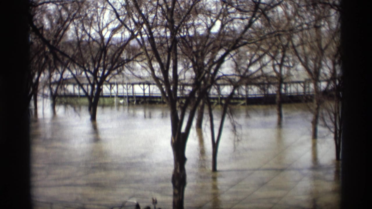 1969 Savage, Minnesota flood footage showing bare trees standing in muddy water with a partially submerged bridge beyond them.