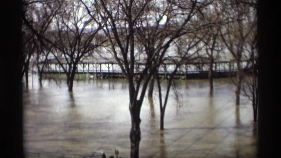 1969 Savage, Minnesota flood footage showing bare trees standing in muddy water with a partially submerged bridge beyond them.