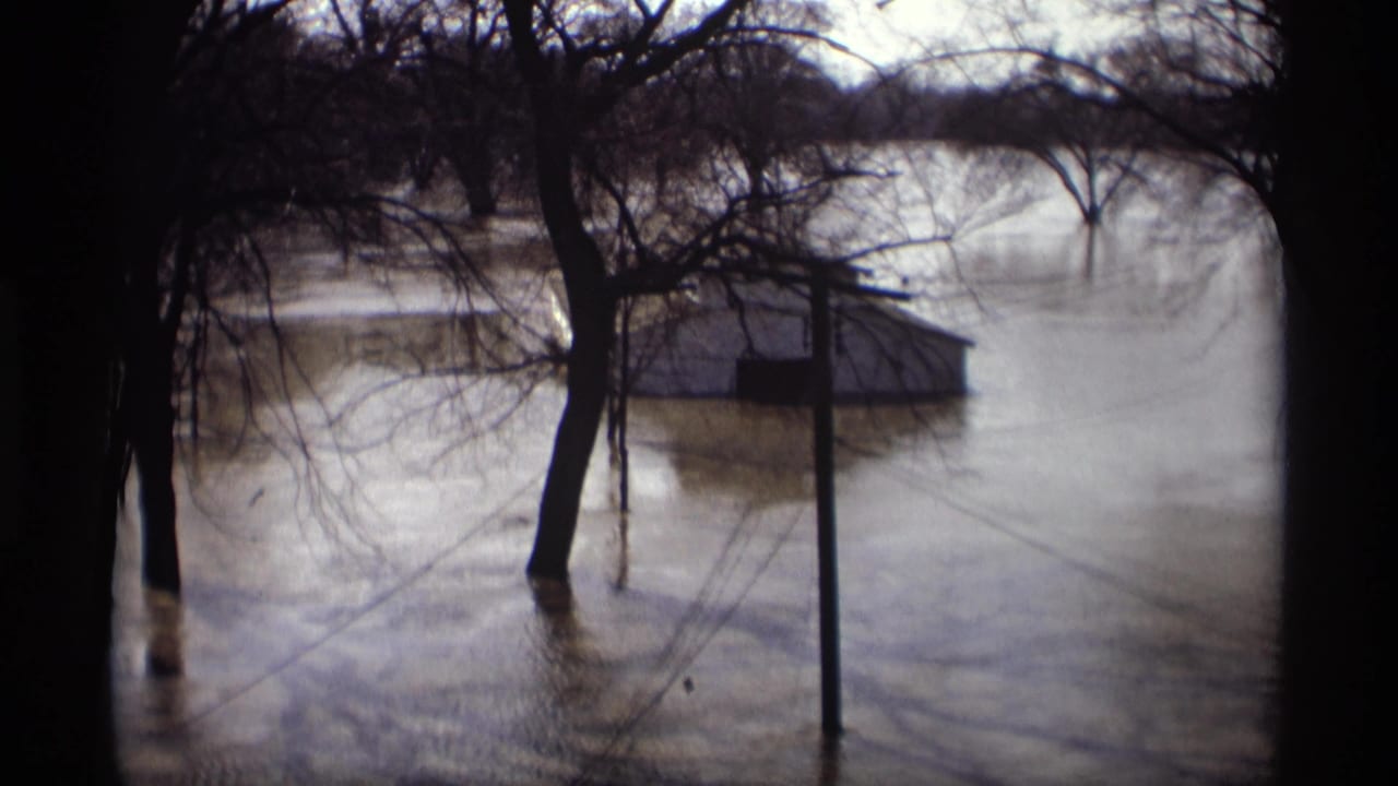 Floodwater surrounds bare trees and a small partially submerged structure near a road edge.