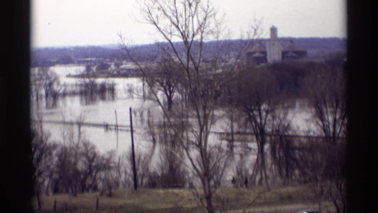 Flooded landscape with bare trees, utility poles, and distant buildings.