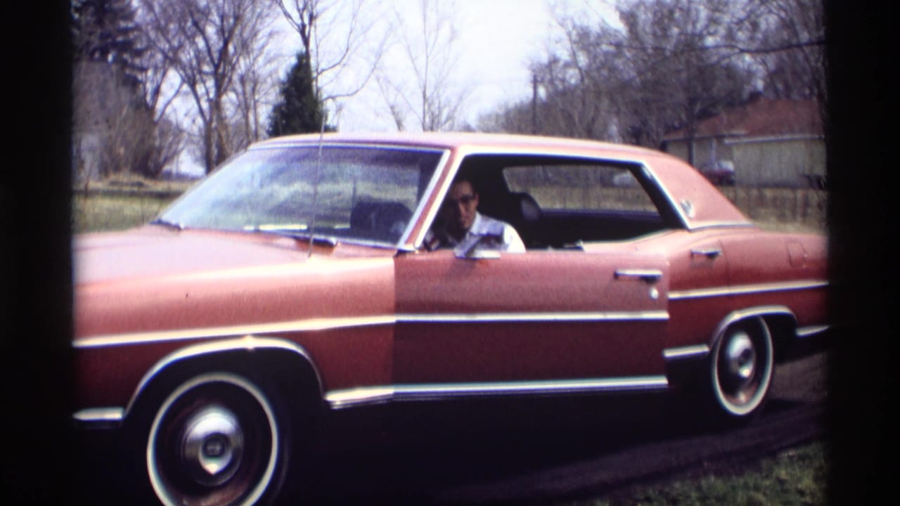 Adult man seated in a reddish-brown sedan on a roadside with bare trees behind him.