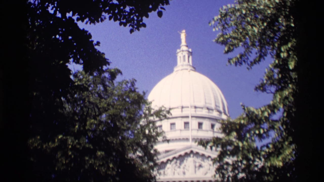 White Capitol dome framed by dark tree branches against a blue sky.