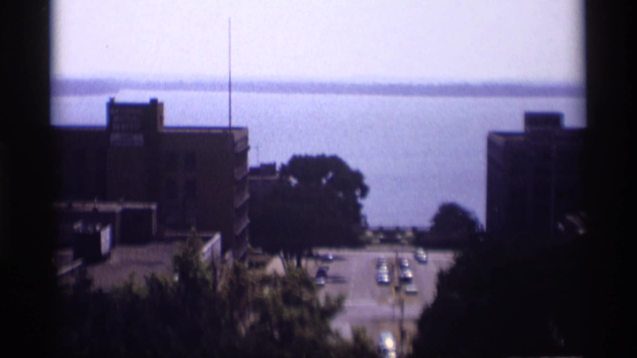Similar rooftop view of a street descending toward water, with trees and brick buildings.