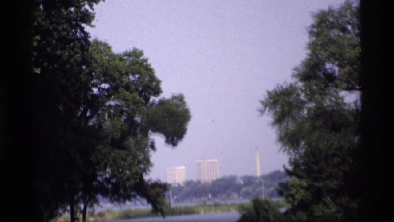 Lake view framed by leafy trees with distant buildings and a slender monument across the water.