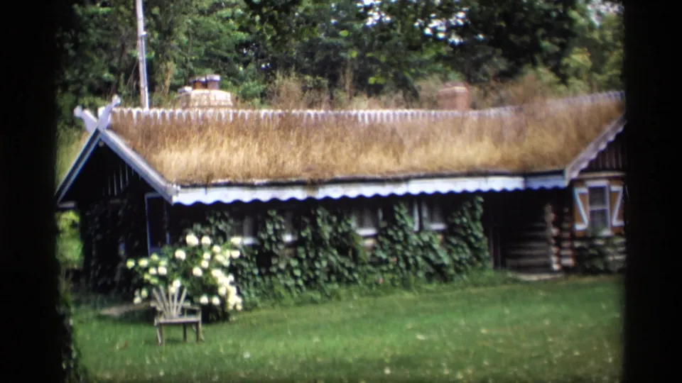 1969 Wisconsin home-movie view of a rustic log cabin with a grass roof, ivy on the wall, lawn, and white flowers near a bench.
