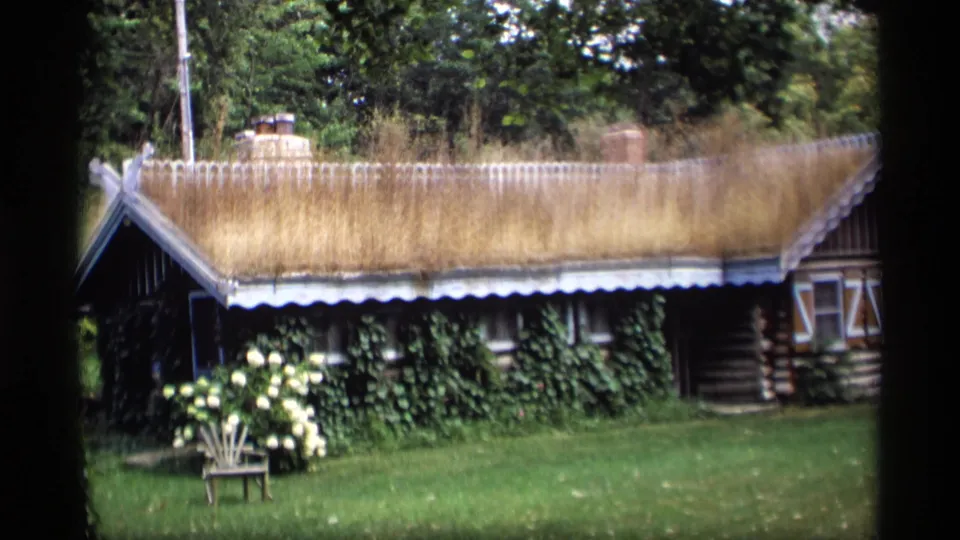1969 Wisconsin frame of a rustic grass-roofed cabin, with ivy-covered siding, white flowers in the foreground, and trees behind.