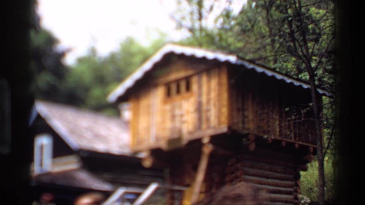 Raised wooden room above log walls, partly soft-focused among trees.