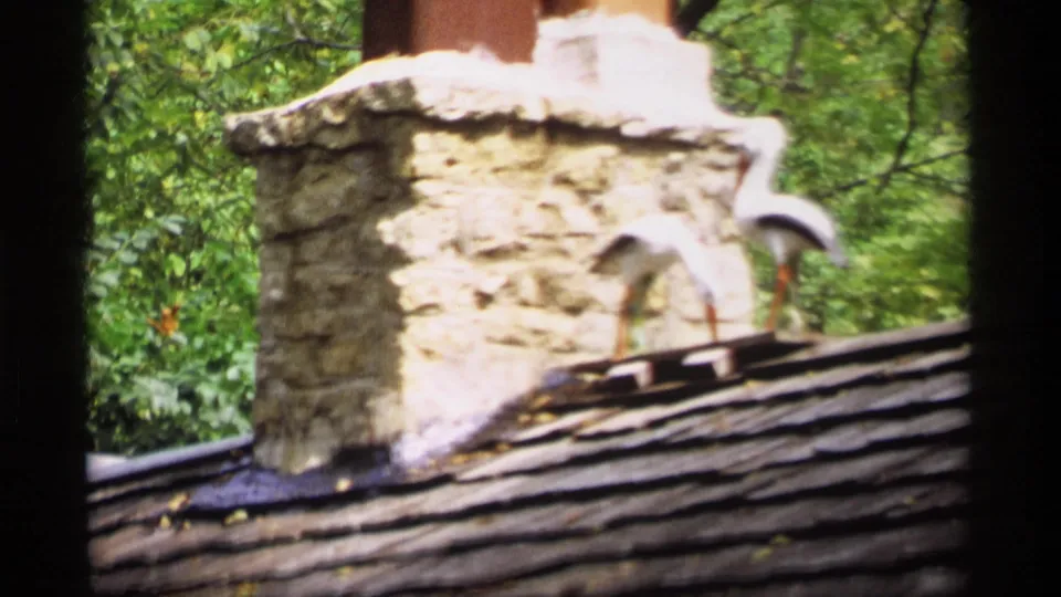 1969 Wisconsin 8mm frame showing a stone chimney, two white stork-like figures, roof shingles, and green trees.