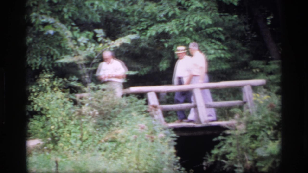 Three older men stand near a small wooden bridge surrounded by dense green foliage.