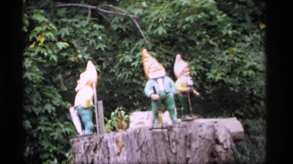 1969 Wisconsin 8mm frame showing three colorful garden gnomes displayed on a large tree stump near dense foliage.