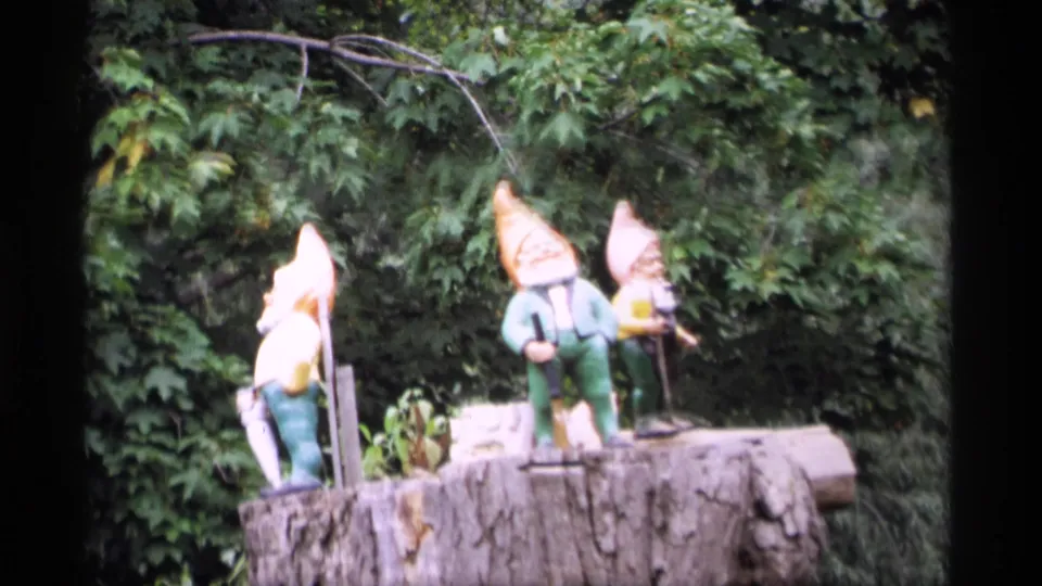 1969 Wisconsin home-movie frame of three garden gnomes on a stump, filmed in soft focus with leafy trees behind them.