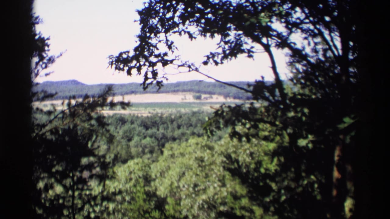 1969 Wisconsin 8mm frame looking through shaded trees toward distant green hills and open farmland under a bright sky.
