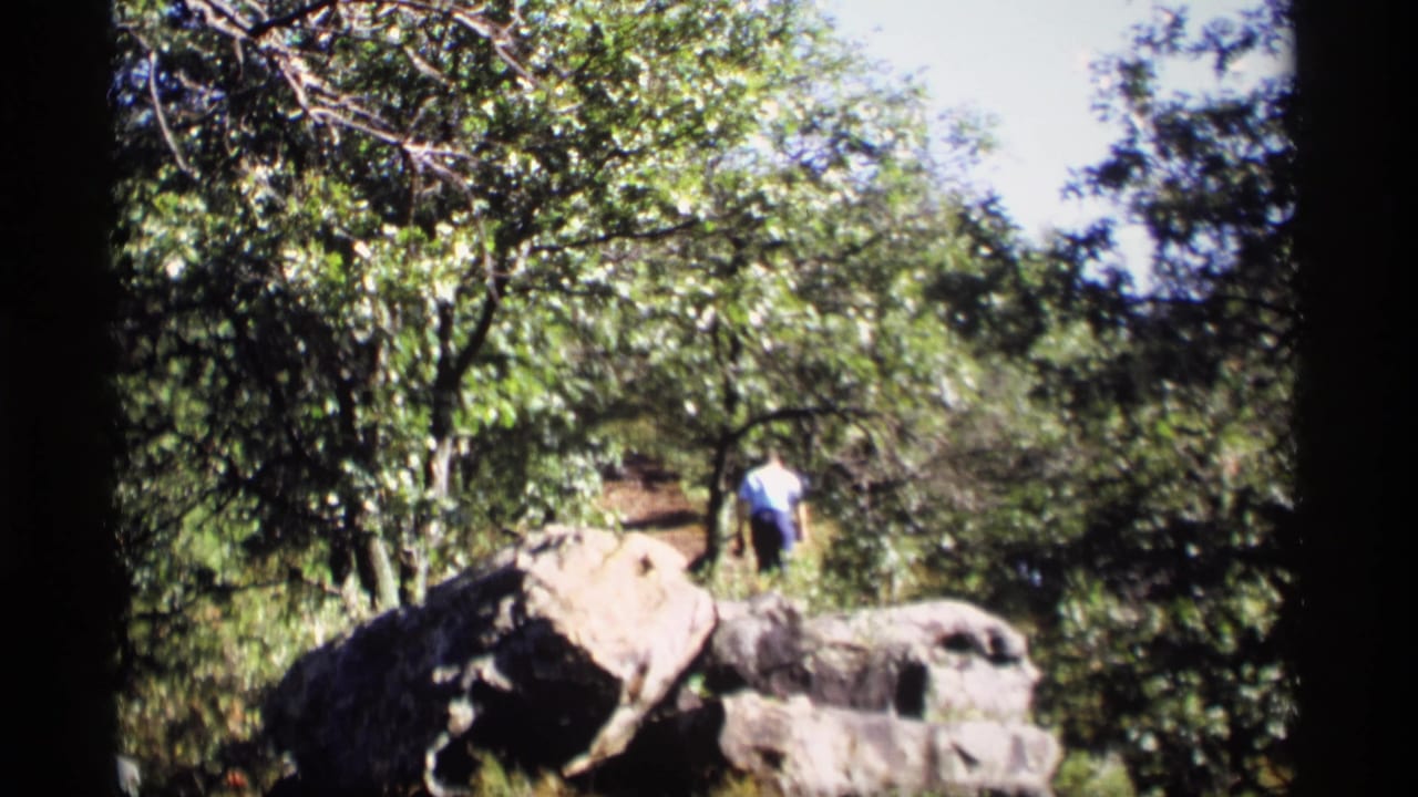 A hiker in a light shirt walks near large rocks on a wooded trail.