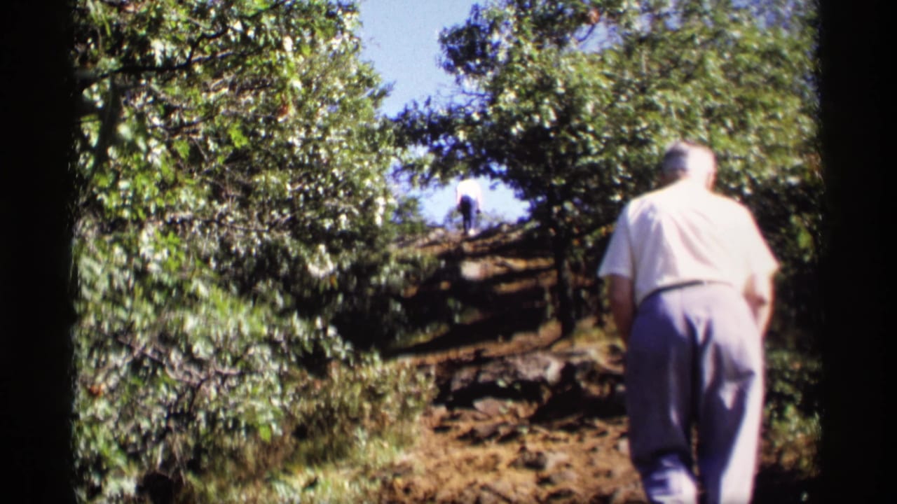 The older man continues upward through a wooded Wisconsin hillside, seen from behind in soft 8mm color and dappled sunlight.