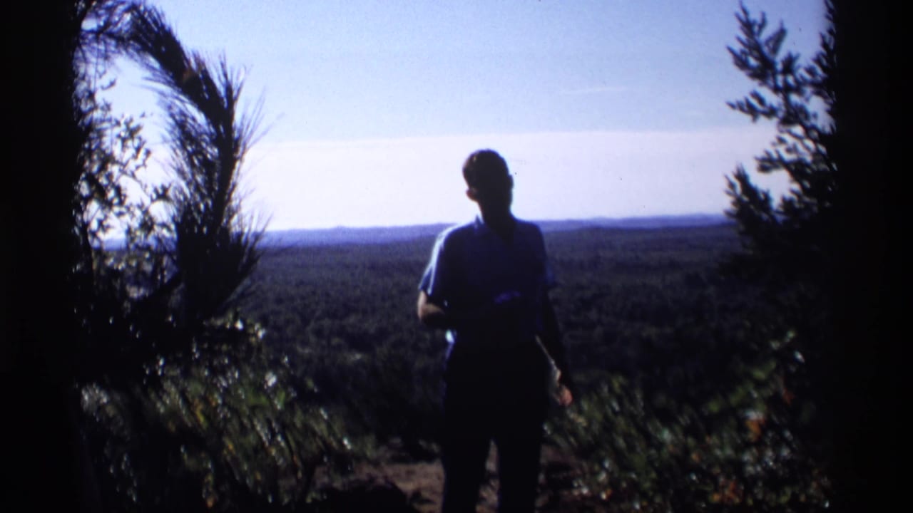 Silhouetted man standing at a wooded overlook above a forested valley.