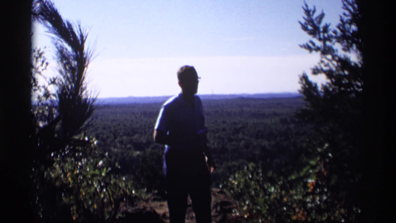 Man in silhouette stands beside trees with a wide forest view behind him.