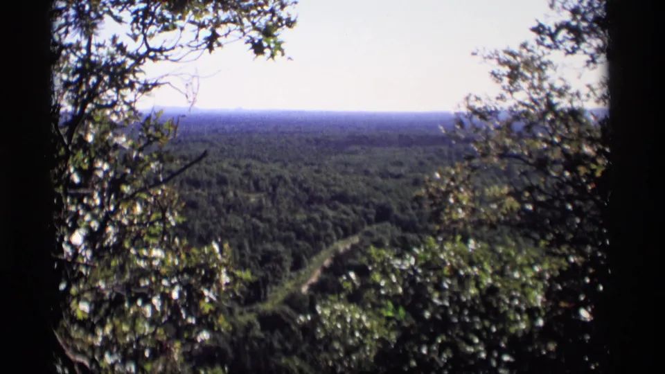 The final frame shifts away from the man to the Wisconsin landscape, showing dense forest, distant hills, and branches in the foreground.