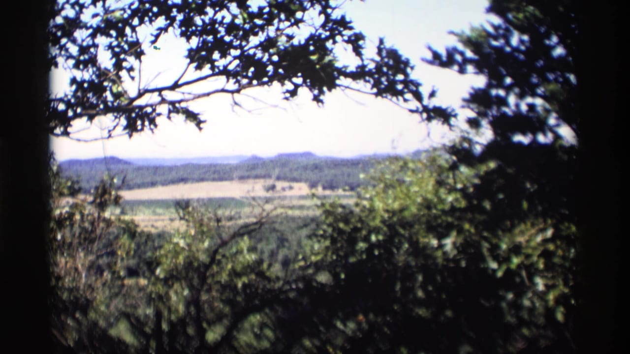 Rural landscape seen through dark leafy branches with fields and treelines in the distance.