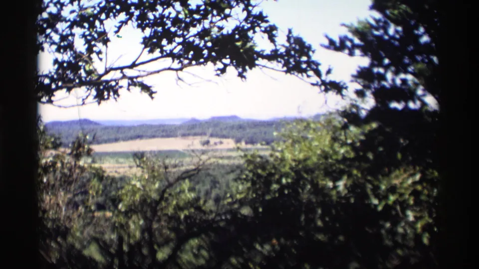 1969 Wisconsin rural view framed by tree branches, with distant farmland, wooded hills, and a bright sky.