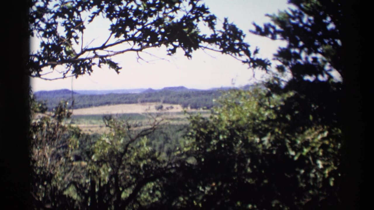 Similar wide view of fields and wooded hills framed by branches and a dark central edge.