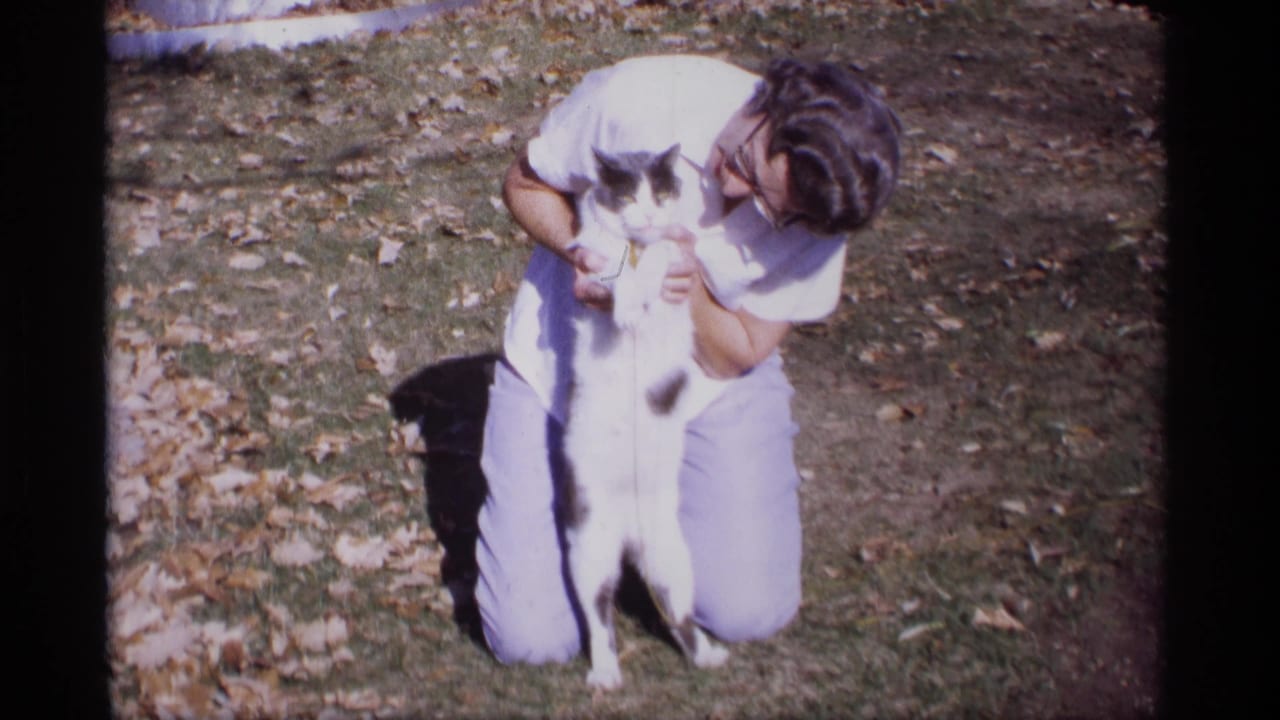 Woman bends toward a black-and-white cat standing upright on grass.